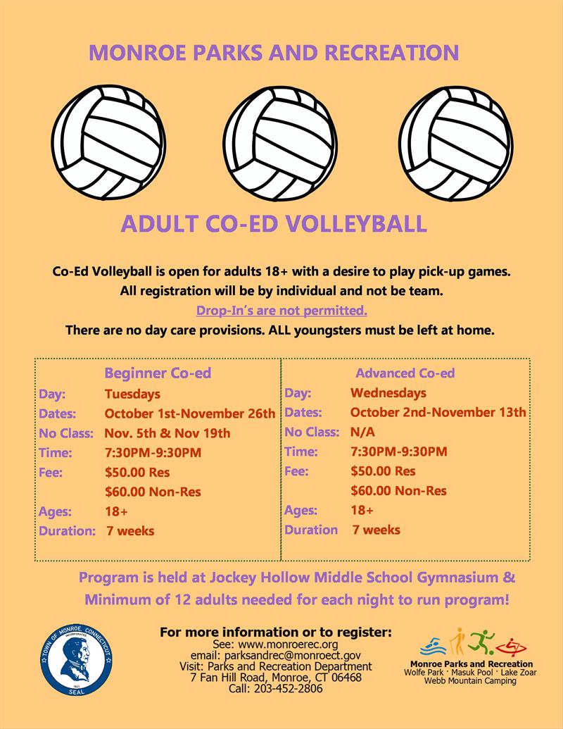 volleyball