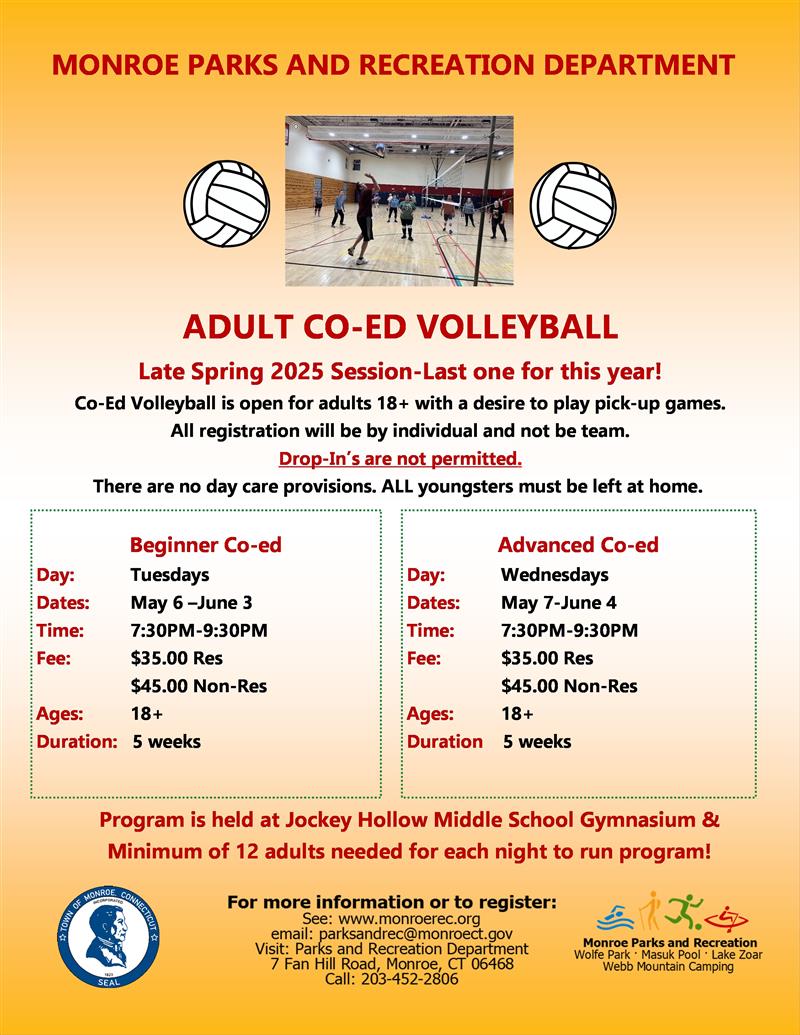 volleyball