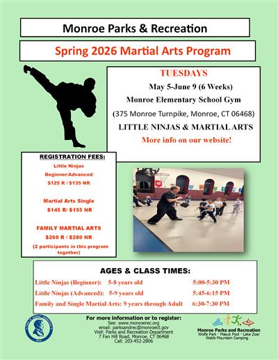 martial arts spring 26