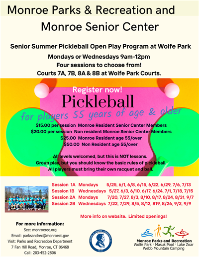senior pickleball